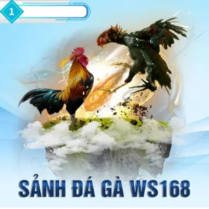 Giới thiệu bạn bè S66