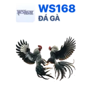 S66 Cá Cược Thể Thao